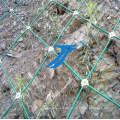 Sns Protective Fechten und Rockfall Mesh Fence